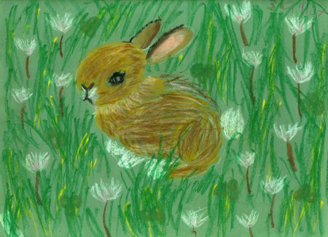 bunny-kay-age-6